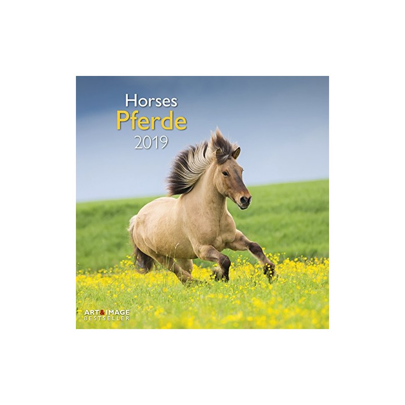 Pferde 2019 Broschürenkalender