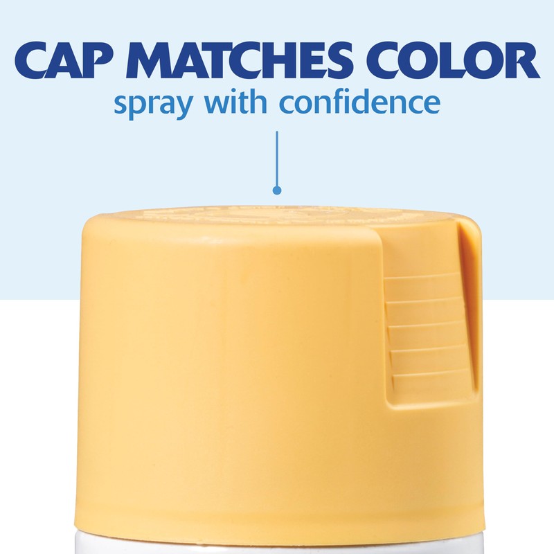 Rust-Oleum 249064-6PK Painter's Touch 2X Ultra Cover Spray Paint, 12