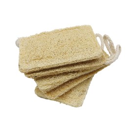 5pcs Natural Eco Dishwasher Sponges，Sustainable Plastic Free & Biodegradable Loofah Sponge with Hanging String to Dry（11x7cm）