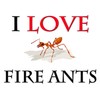 CafePress I Love Fire Ants Rectangle Magnet, 3"x2" Refrigerator Magnet