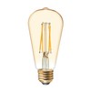 GE General Electric Vinta Small 60W Amber ST19 (2-Pack)