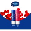 Vaseline- Paquete variado de 4 bálsamos labiales hidratantes Lip Therapy