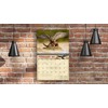2026 Birds of Prey Wall Calendar 16-Month X-Large Size 14x22,