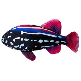 Scoochzilla Grouper Fish | Large and Durable Dog Toy | 18 Inch | by Scoochie
