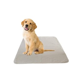 Marquis Mills Puppy Training Washable Pee Pad - Heavy Duty, Super Absorbent - Reusable Pads Premium Carpet/Seat Protection - for Dogs