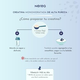 Nerea Creatina monohidratada ALTA PUREZA en polvo, sin sabor, sin rellenos, 400g / 3 meses