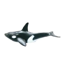 Maruwa Boeki Pullback Orca Whale Size: Approx. W6 D16.6 H5 4009131-06