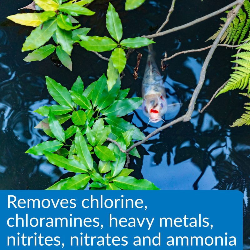 API POND AQUA ESSENTIAL Pond Water Conditioner 473ml bottle