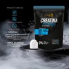 BIOSUPLE Creatina + Beta Alanina 100% puras, sin ingredientes de