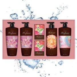 LG Household & Health Care Shampoo Body Premium Gift Set 1 piece 513982 / 엘지생활건강 정성담은 샴푸 바디 프리미엄 선물세트 1개 513982