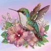 MVVMTOP Diamond Art Painting Kit, DIY Bird and Flower 5D