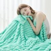 NEWCOSPLAY Super Soft Throw Blanket Aqua Premium Silky Flannel Fleece
