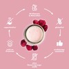 Dailyshake 15 Meals