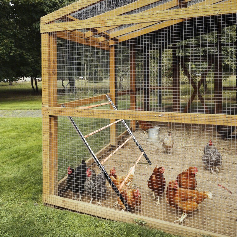 Chicken Perch Stand, Chicken Roosting Ladder Outdoor Chicken Roosting Bars