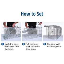 Havahart 1085 Large 1-Door Easy Set & Release Humane Live Animal Trap for Armadillos, Cats, Groundhogs, Muskrats, Nutria, Opossums, Racoons, Skunks, and Other Similar-Sized Animals