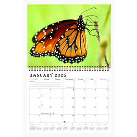 2025 Spiral-bound Wall Calendar (Butterfly) - 12 Months Desktop/Wall Calendar/Planner (11x17)