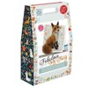 The Crafty Kit Company The Fabulous Mr Foxy Needle Felting