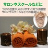 Fermore Ear Model, Ear Urn Model, Japanese Notation, Convenient to
