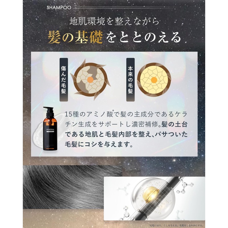 Renina Beauty Salon Exclusive Amino Acid Shampoo [Shampoo Treatment 13.5
