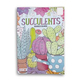 Making the Grade Adult Coloring Book Succulents - Cactus Scenes, Gardening, Nature Pictures to Color - 40 Coloring Pages, Large
