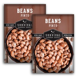 Pinto Bean Seeds for Planting - 2 Packets with Instructions for Growing Mottled/Peruano Beans in The Home Vegetable Garden - Non-GMO Open-Pollinated Heirloom & Untreated - Survival Garden Seeds