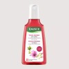 Lush 라우쉬 멜로우 볼륨 샴푸 정수리 두피 200ml Lush Melow Volume Shampoo for Scalp 200ml
