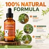 Worm Wood Natural Gut Support for Cats | Herbal Blend