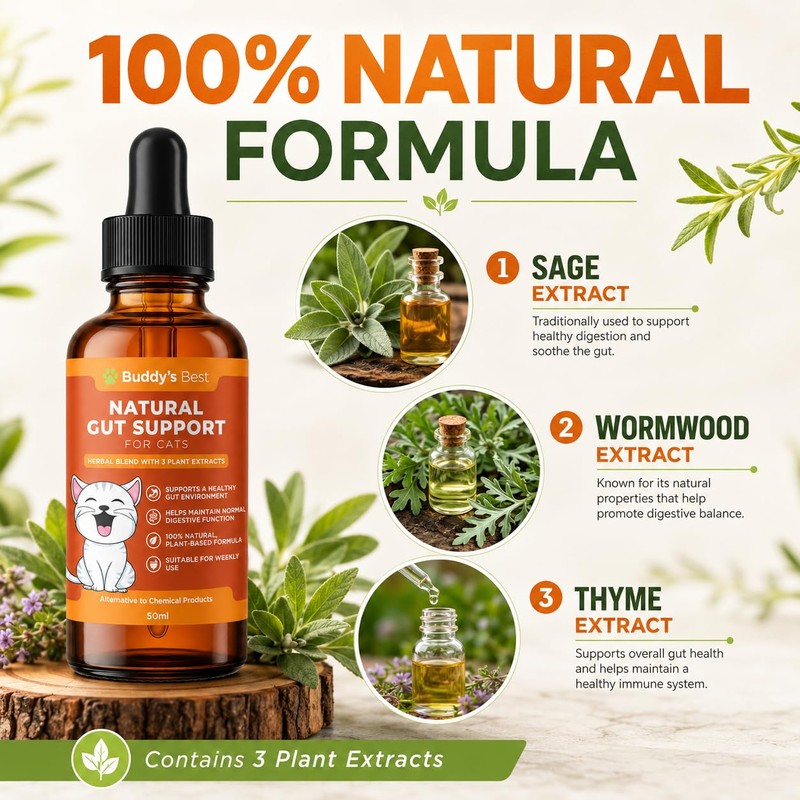 Worm Wood Natural Gut Support for Cats | Herbal Blend