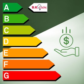 B.K.Licht - EEK A LED Ceiling Light Swivelling 3000 K Warm White 2 W Each 450 Lumen Approx. 50,000 Hours Light, Ceiling Light, Living Room Lamp, Bedroom Lamp, Kitchen Lamp, Ceiling Lamp, 25.5 cm,