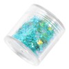 TEHAUX 2pcs Crystal Sequins for Nail Art and Makeup Light