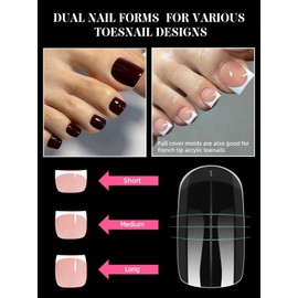 EBANKU 300 Stück Poly Gel Nagelformen für Zehen, Lange Quadratische Dual Forms für Pediküre, Wiederverwendbare Vollständige Schablonen für Polygel/Acryl Zehenverlängerungen, 15 Größen