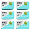 Dentist Recommended MYNTZ! Brand Mints - Wintermynt Blast Flavor 6