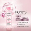 Rutina Ponds Bright Miracle Antimanchas Niasorcinol 6pzs