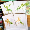 FINGERINSPIRE 6Styles Praying Mantis Pattern Stencils with a Brush 15x15cm
