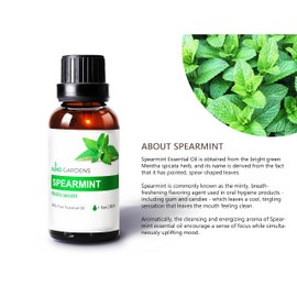 Auxo Gardens Spearmint Essential Oil 1oz (30ml) -100% Natural and Pure, Premium Quality Therapeutic Grade Essential Oil for Aromatherapy-Fresh, Sweet and Minty
