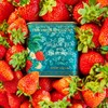 Fortnum and Mason Black Tea with Strawberry, Loose Leaf Caddy,