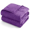 Kivik Minky Dot Weighted Blanket for Adults, 12 lbs Breathable