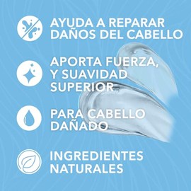 HIDRACOLOR - Protein Shampoo 300 ml, Champú que Fortalece y Repara el Cabello, Refuerza Fibras del Cabello, Aporta Brillo y Sedosidad, para Cabello Seco y Qubradizo, Uso Diario