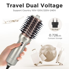 Aima Beauty 4 in 1 Worldwide Travel Hot Air Brush Dual Voltage Blowout Brush Oval Shape One Step Volumizer Straightener Blow Dryer Brush Ionic Lock Moisture Gift 360° Swivel Cord Champagne Silver