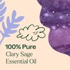 Plant Therapy Plant Therapy Clary Sage Essential Oil 100% Pure,