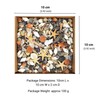 Avalon Mixed SEA Shells Collectable Small Seashell Mixes, Decorative Craft