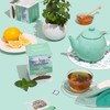 Two Leaves and a Bud Organic Peppermint Tea Bags, Naturally
