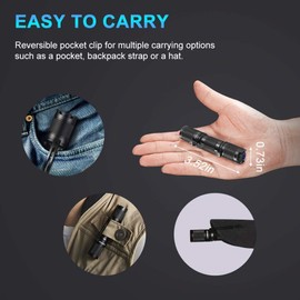 LUMINTOP Tool AA 2.0 LED Torch, Super Bright 650 Lumens, Pocket-Sized Keyring Torch, 5 Modes with Mode Memory, IP68 Waterproof, Powered by One AA or 14500, for Camping Hiking Emergency
