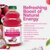 Dr. Smoothie Refreshers Dragon Fruit Lychee – Made with Real