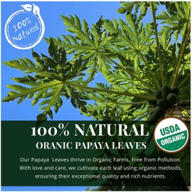 Akshit 75 Papaya Leaf Tea Bags, Pure Papaya Tea From Dried Green Papaya Leaves, Hoja De Papaya Te, Te de papaya, Loose Leaf Papaya Herbal Tea, Caffeine free, Non Gmo.