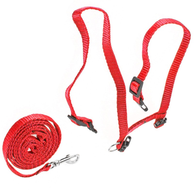 Widream 2 x Cat Harness with Lead and Collars, Escape