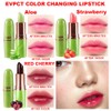 evpct 3Pcs Aloe Vera Strawberry Black Red Cherry Lip Balm