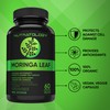 1200MG Organic Moringa Leaf Capsules -Provides Powerful Antioxidants -Protects Against