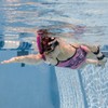 FINIS Original Swimmer’s Snorkel, Center-Mount Design, Adult, Pink
