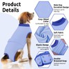 Queenmore Dog Surgical Recovery Suit Onesie, Recovery Suit for Dogs